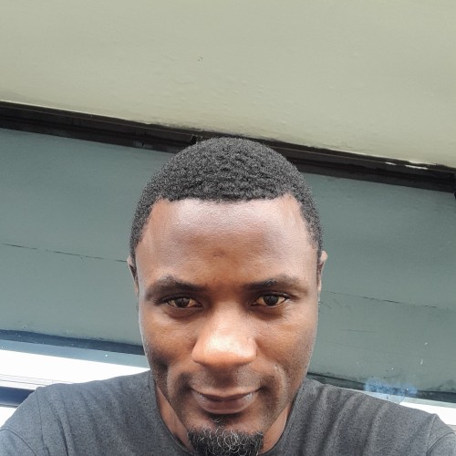 kingsley n. profile photo