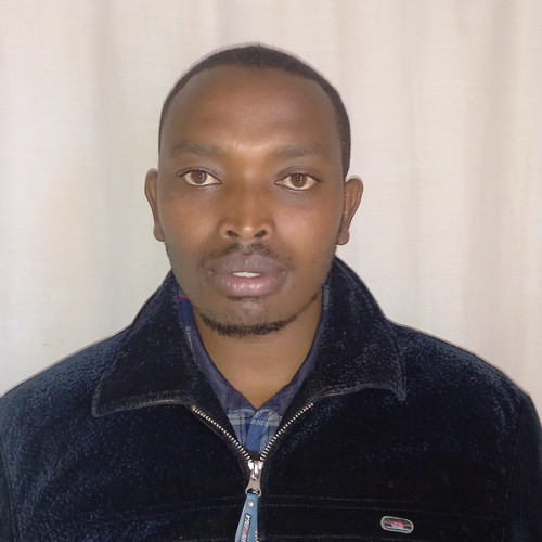 Peter K. profile photo