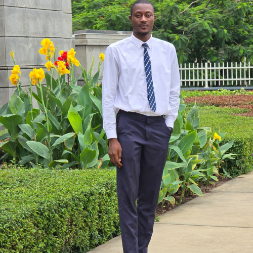 OSAMUDIAMEN  D. profile photo