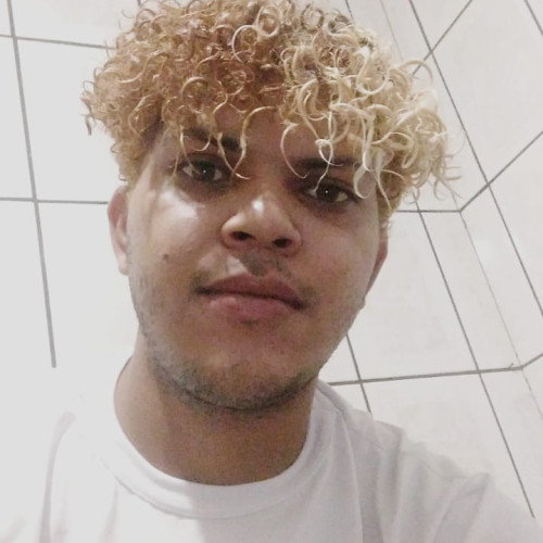Armando  C. profile photo