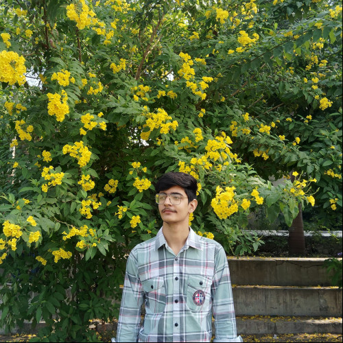 Manish D. profile photo