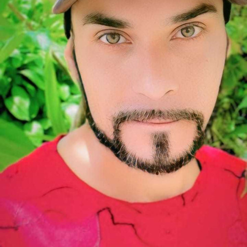 Luiz P. profile photo