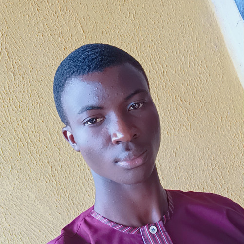 Adeniyi R. profile photo