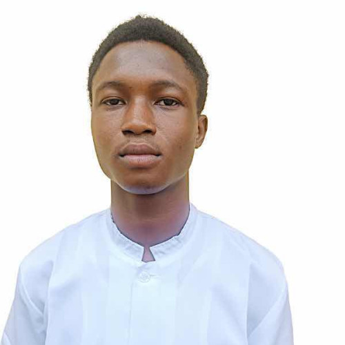 Ogundare V. profile photo