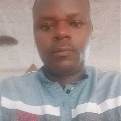 David m. profile photo