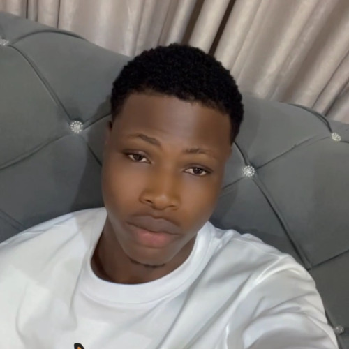Olayinka A. profile photo