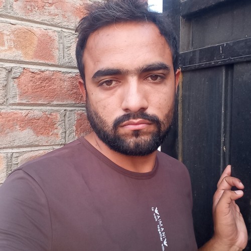 Chaudhary  V.