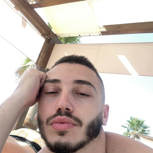 Dardan S. profile photo