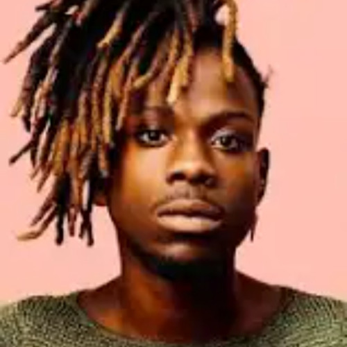 Wolly N. profile photo