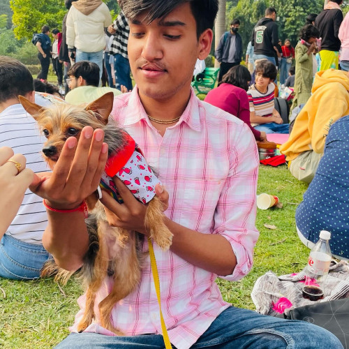Yash  S. profile photo