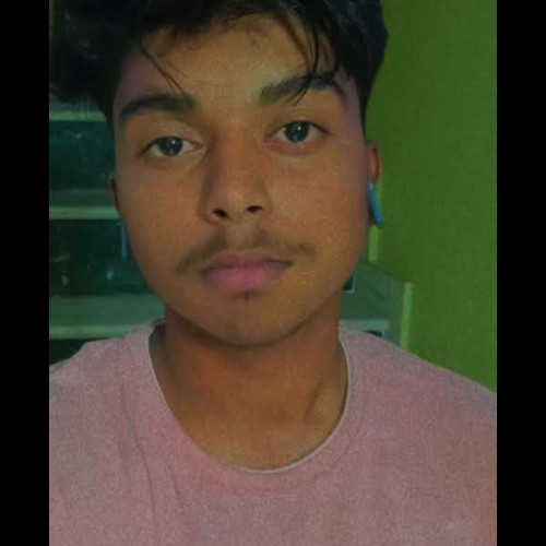 Aditya  K.