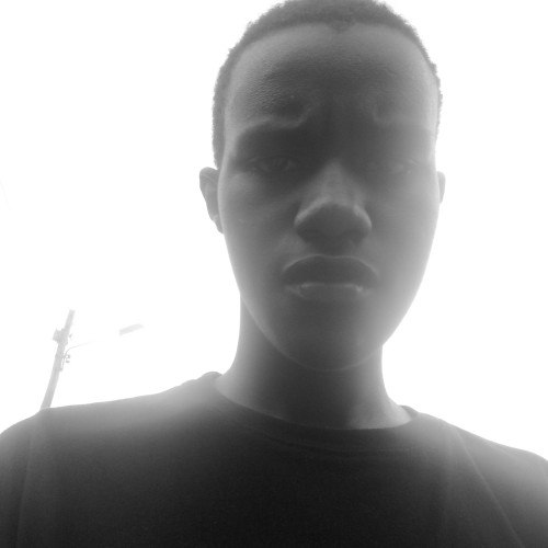 Simon K. profile photo