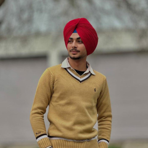 dilpreet s. profile photo
