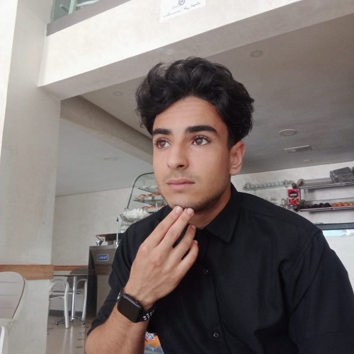 EL HOUSSAINE A. profile photo