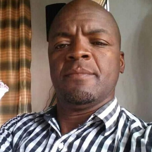 Paul M. profile photo