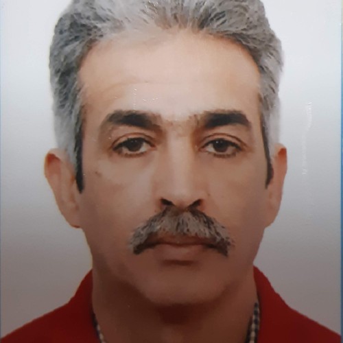 Qanoune N. profile photo