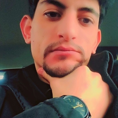 Hamza L. profile photo