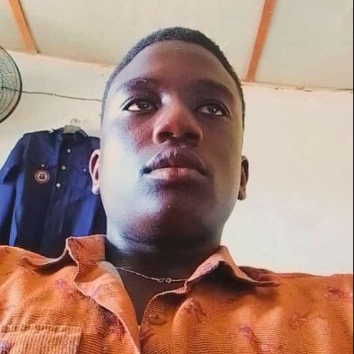Olanipekun  D. profile photo