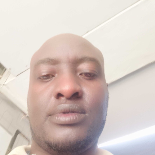 Albert n. profile photo