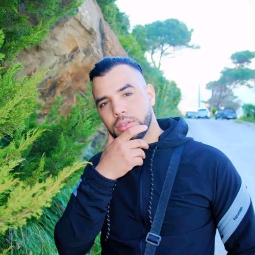 Taoufik M.