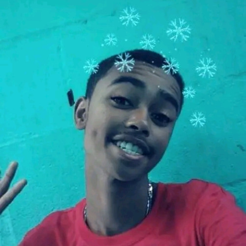 Alessandro E. profile photo