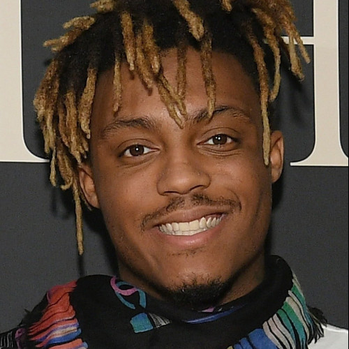 Max N. profile photo