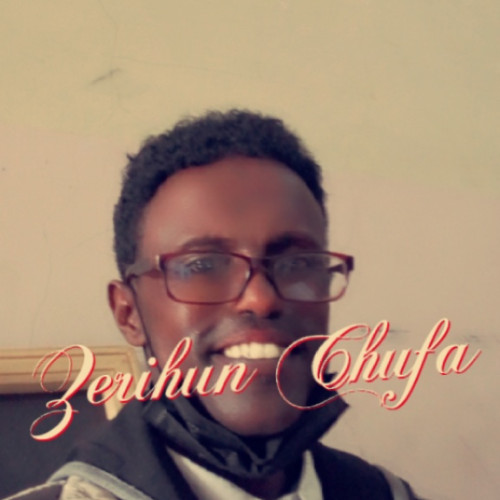 Zerihun  C. profile photo