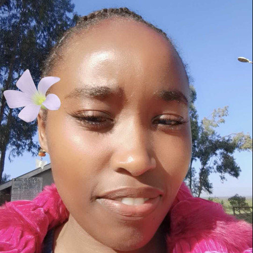 Ann M. profile photo