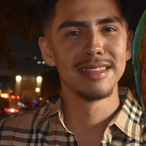 Damian M. profile photo