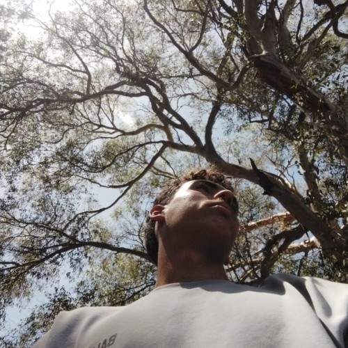 Ilyass H. profile photo