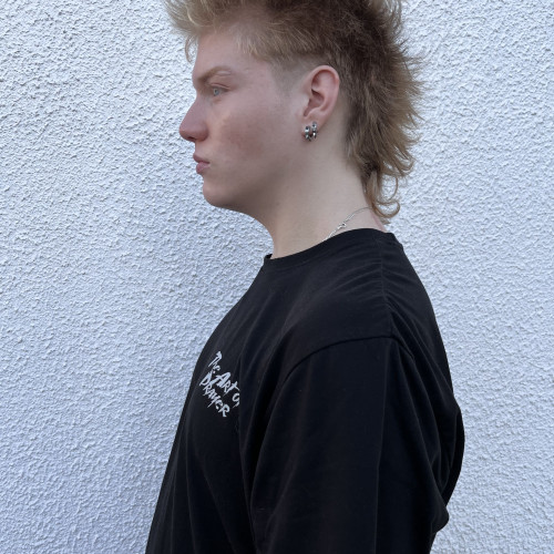 Felix 2. profile photo