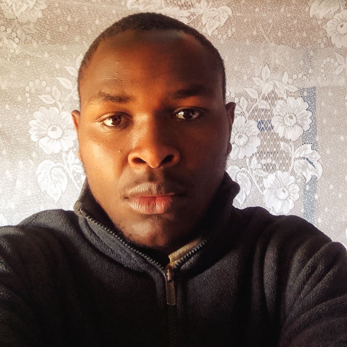Denis  T. profile photo