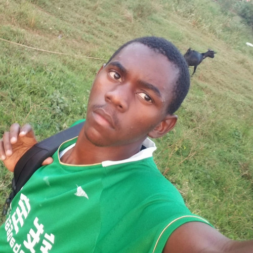 Nasif L. profile photo