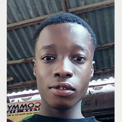 Solomon D. profile photo
