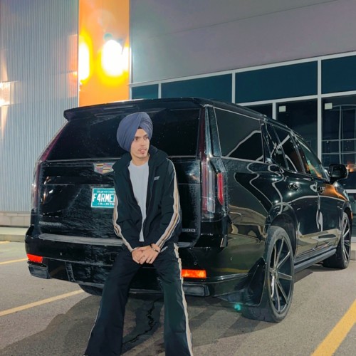 Ajit S.
