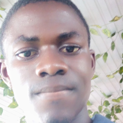 Boluwatife  O. profile photo