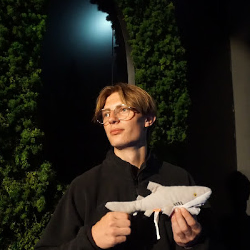 Rokas S. profile photo