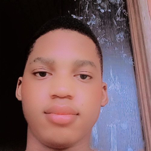 Chibuikem N. profile photo