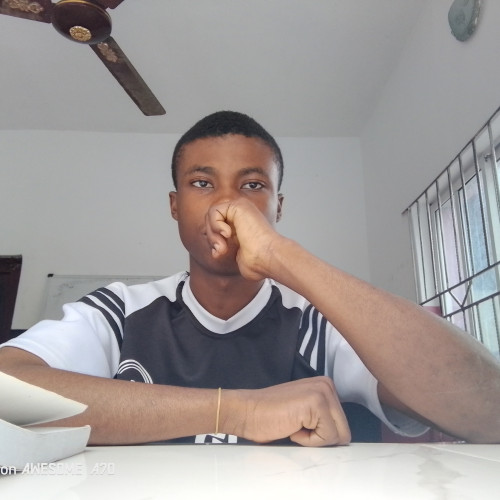 Chidera E. profile photo