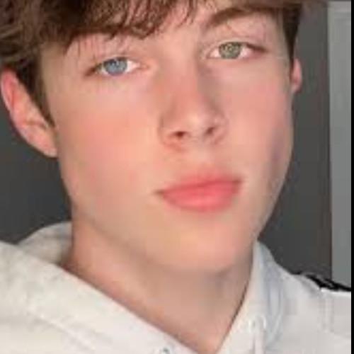 Milad  N. profile photo