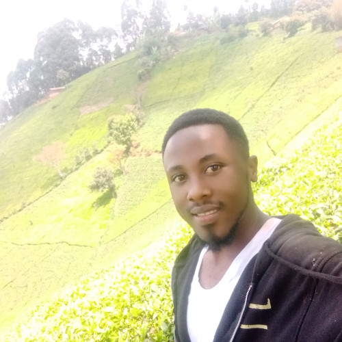 Wilson K. profile photo