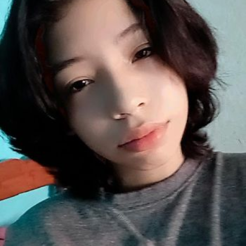 aleksa t.