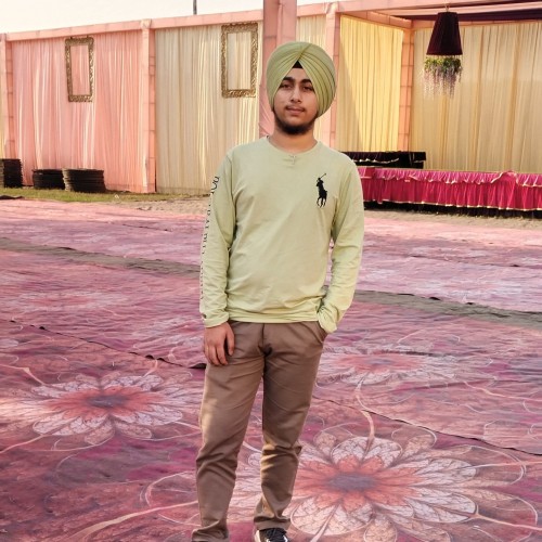Ramanjeet s.