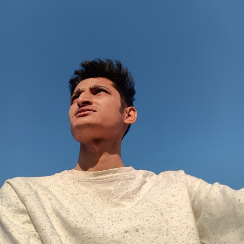 Nikhil R.