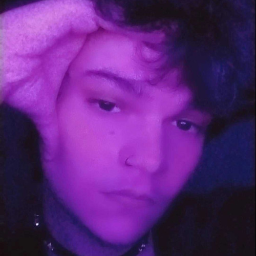 João J. profile photo