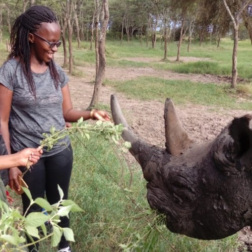 Carol  K. profile photo