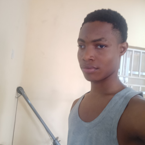 David D. profile photo