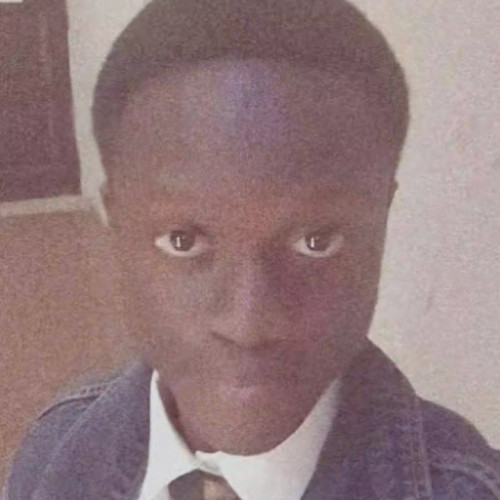 Toluwani A.