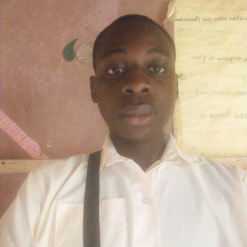 Oreoluwa A. profile photo