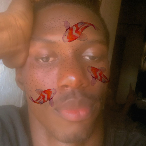 Kingsley  P. profile photo